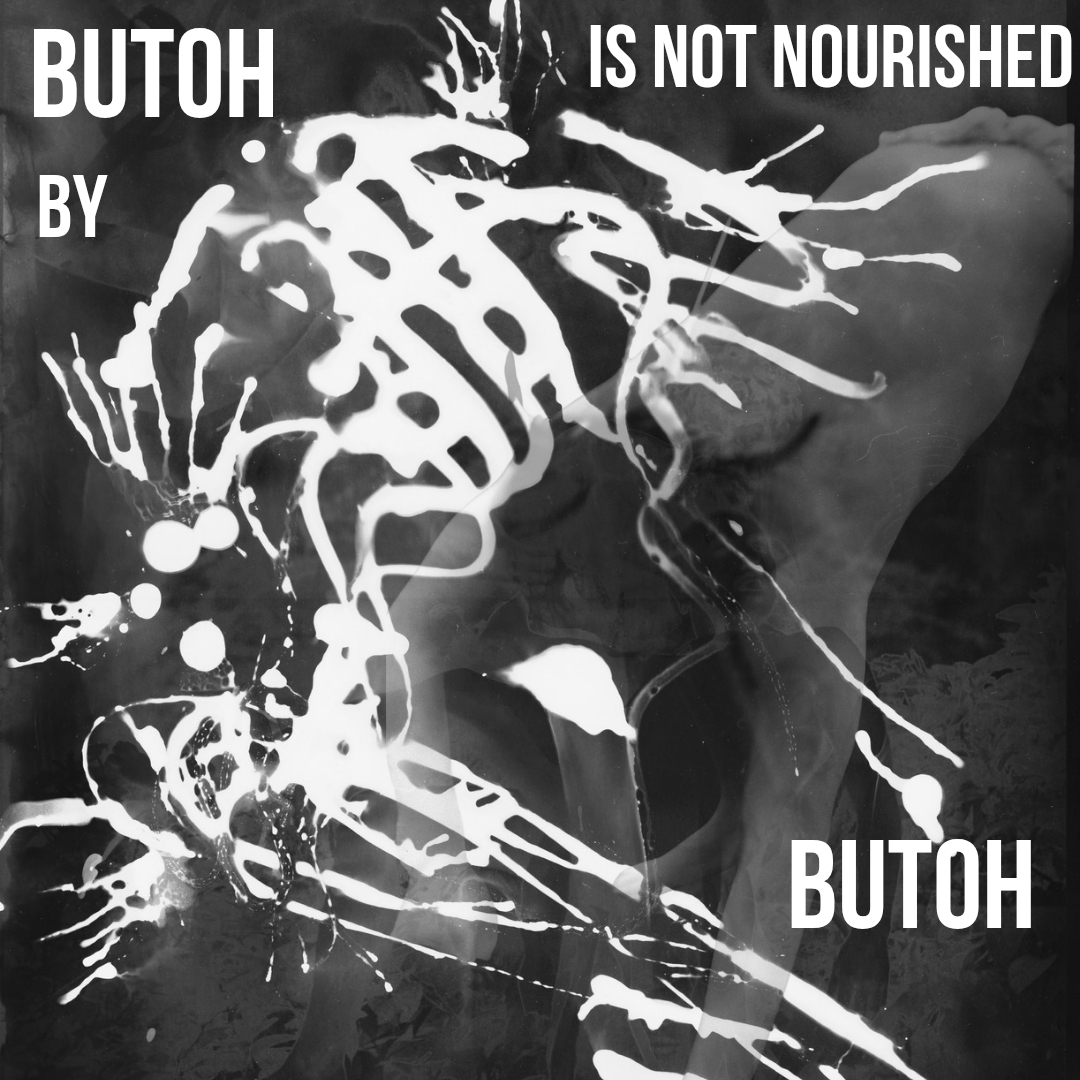 Butoh Is Not Nourished Flyer